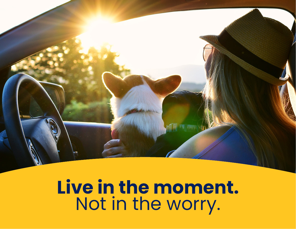 10037590 Santam Brand Positioning Header 291 X 225 Potential3